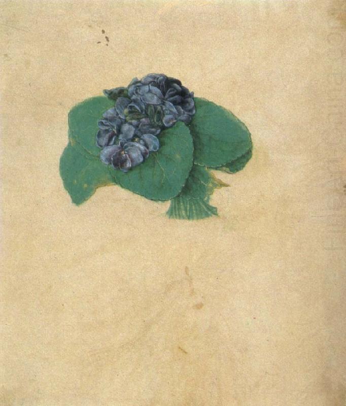 Albrecht Durer A Nosegay of Violets china oil painting image